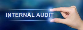 internal_audit_pichet_w